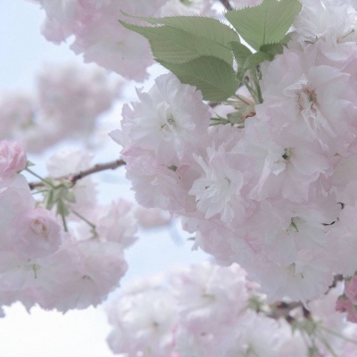 Furry插画细节提升技巧兽圈群